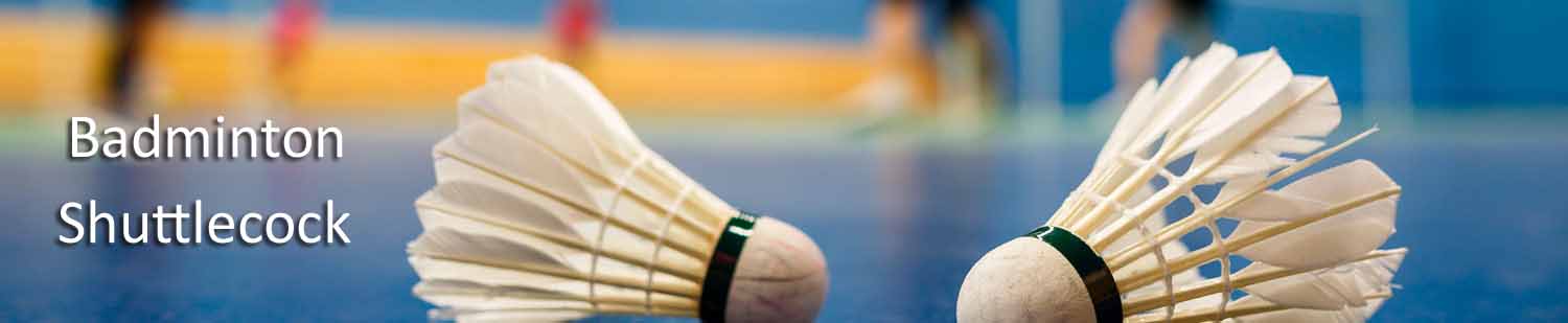 Badminton shuttlecocks